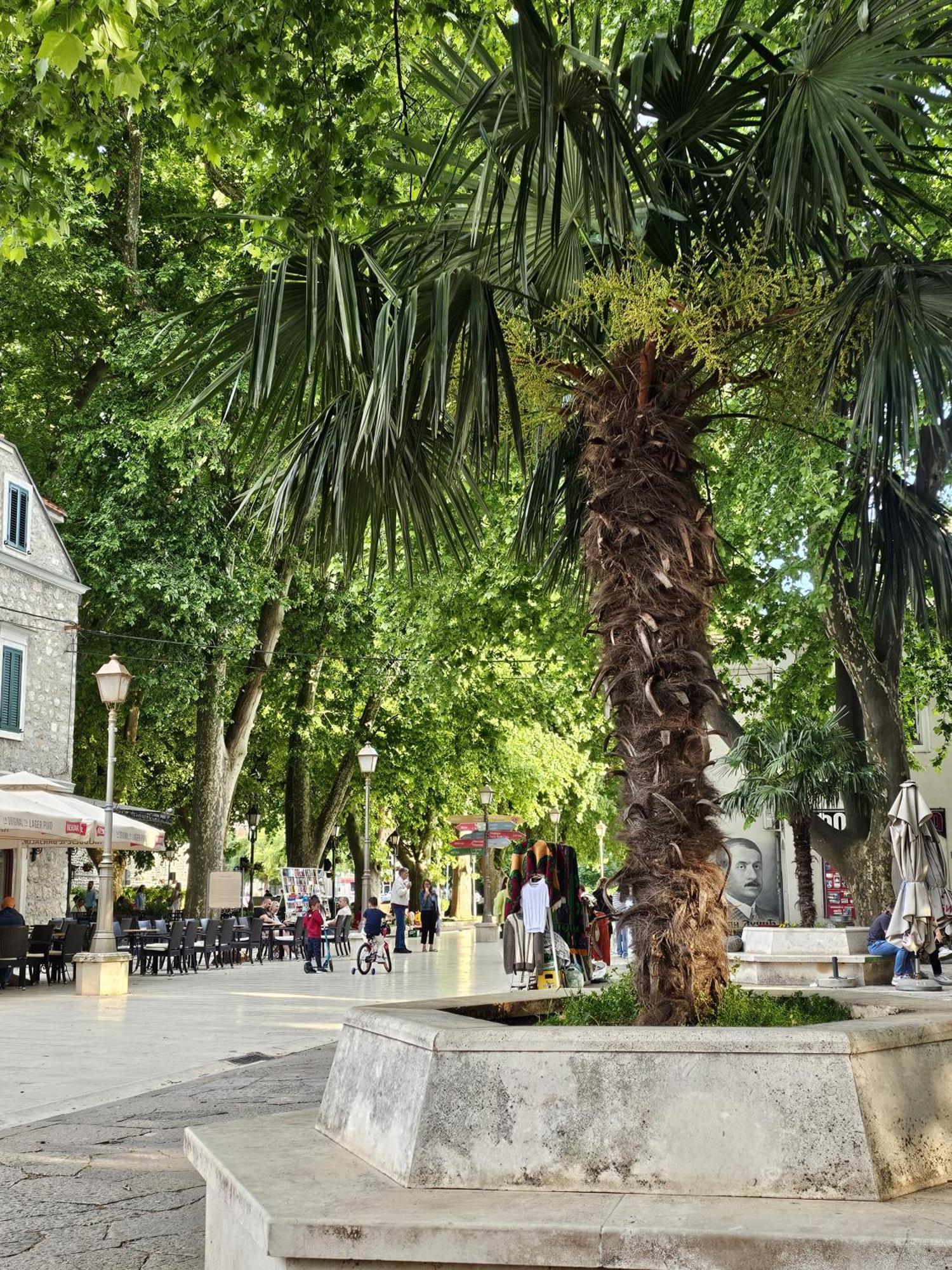 Platani Apartamento Trebinje